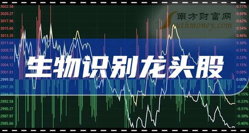 生物識別龍頭企業(yè)前三名 2025年展望與技術開發(fā)服務解析